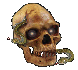 Skull and Snakes